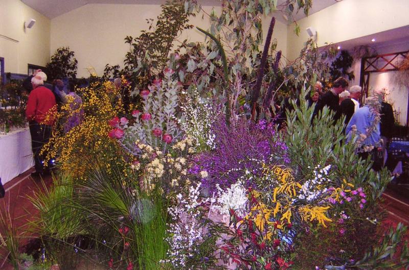 West Australian Wildflowers