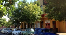 Apple Tree Inn