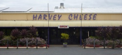 Harvey Cheese