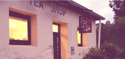 Tiny Tea Shop