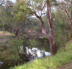 Nannup