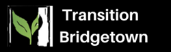 Transition Bridgetown 