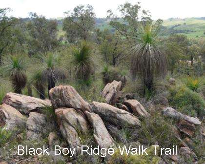 chittering accommodation western australia