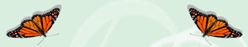 open garden donnybrook