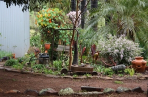 Corals Garden