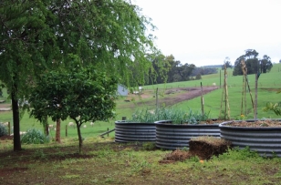 raised bed