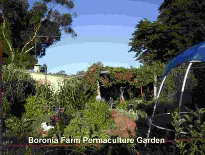 Permaculture Garden WA