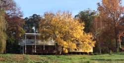 Chestnut Cottage