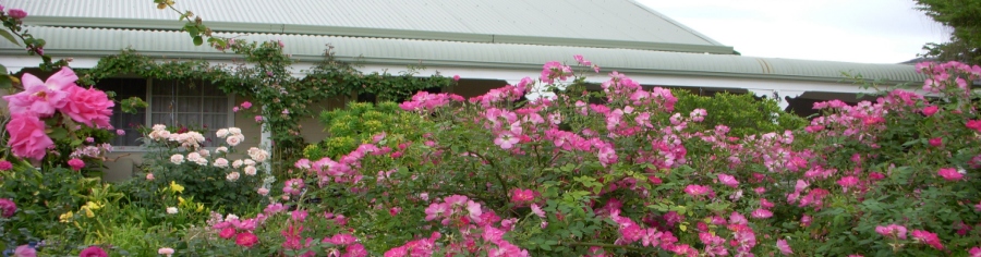Agritourism Western Australia