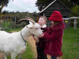 Farm Stay WA