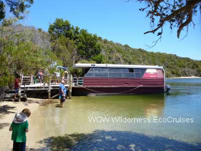 WOW Wilderness Eco Cruises